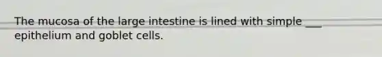 The mucosa of the <a href='https://www.questionai.com/knowledge/kGQjby07OK-large-intestine' class='anchor-knowledge'>large intestine</a> is lined with simple ___ epithelium and goblet cells.