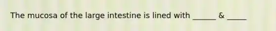 The mucosa of the large intestine is lined with ______ & _____