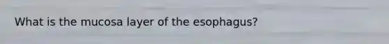 What is the mucosa layer of <a href='https://www.questionai.com/knowledge/kSjVhaa9qF-the-esophagus' class='anchor-knowledge'>the esophagus</a>?