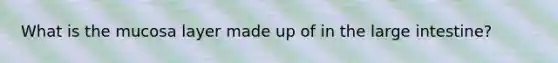 What is the mucosa layer made up of in the large intestine?