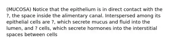 (MUCOSA) Notice that the epithelium is in direct contact with the ?, <a href='https://www.questionai.com/knowledge/k0Lyloclid-the-space' class='anchor-knowledge'>the space</a> inside the alimentary canal. Interspersed among its epithelial cells are ?, which secrete mucus and fluid into the lumen, and ? cells, which secrete hormones into the interstitial spaces between cells