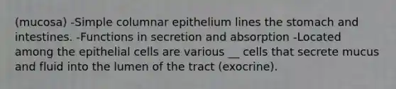 (mucosa) -Simple columnar epithelium lines <a href='https://www.questionai.com/knowledge/kLccSGjkt8-the-stomach' class='anchor-knowledge'>the stomach</a> and intestines. -Functions in secretion and absorption -Located among the epithelial cells are various __ cells that secrete mucus and fluid into the lumen of the tract (exocrine).