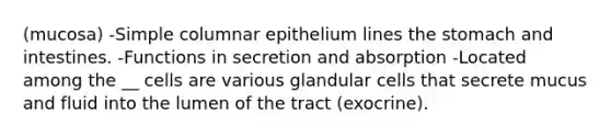 (mucosa) -Simple columnar epithelium lines <a href='https://www.questionai.com/knowledge/kLccSGjkt8-the-stomach' class='anchor-knowledge'>the stomach</a> and intestines. -Functions in secretion and absorption -Located among the __ cells are various glandular cells that secrete mucus and fluid into the lumen of the tract (exocrine).