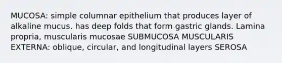 MUCOSA: simple columnar epithelium that produces layer of alkaline mucus. has deep folds that form gastric glands. Lamina propria, muscularis mucosae SUBMUCOSA MUSCULARIS EXTERNA: oblique, circular, and longitudinal layers SEROSA