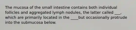 The mucosa of <a href='https://www.questionai.com/knowledge/kt623fh5xn-the-small-intestine' class='anchor-knowledge'>the small intestine</a> contains both individual follicles and aggregated lymph nodules, the latter called ___, which are primarily located in the ____but occasionally protrude into the submucosa below.