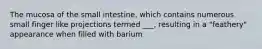 The mucosa of the small intestine, which contains numerous small finger like projections termed ___, resulting in a "feathery" appearance when filled with barium