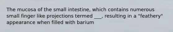 The mucosa of the small intestine, which contains numerous small finger like projections termed ___, resulting in a "feathery" appearance when filled with barium