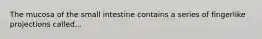 The mucosa of the small intestine contains a series of fingerlike projections called...