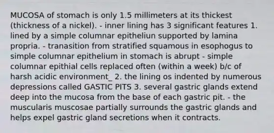 MUCOSA of stomach is only 1.5 millimeters at its thickest (thickness of a nickel). - inner lining has 3 significant features 1. lined by a simple columnar epitheliun supported by lamina propria. - tranasition from stratified squamous in esophogus to simple columnar epithelium in stomach is abrupt - simple columnar epithial cells replaced often (within a week) b/c of harsh acidic environment_ 2. the lining os indented by numerous depressions called GASTIC PITS 3. several gastric glands extend deep into the mucosa from the base of each gastric pit. - the muscularis muscosae partially surrounds the gastric glands and helps expel gastric gland secretions when it contracts.