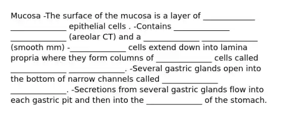 Mucosa -The surface of the mucosa is a layer of _____________ ______________ epithelial cells . -Contains ______________ ______________ (areolar CT) and a ______________ ______________ (smooth mm) -______________ cells extend down into lamina propria where they form columns of ______________ cells called ______________ ______________. -Several gastric glands open into the bottom of narrow channels called ______________ ______________. -Secretions from several gastric glands flow into each gastric pit and then into the ______________ of the stomach.