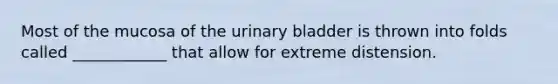Most of the mucosa of the <a href='https://www.questionai.com/knowledge/kb9SdfFdD9-urinary-bladder' class='anchor-knowledge'>urinary bladder</a> is thrown into folds called ____________ that allow for extreme distension.