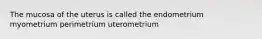 The mucosa of the uterus is called the endometrium myometrium perimetrium uterometrium