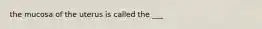 the mucosa of the uterus is called the ___