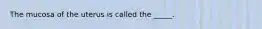 The mucosa of the uterus is called the _____.