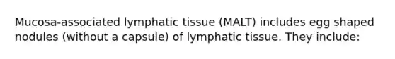 Mucosa-associated lymphatic tissue (MALT) includes egg shaped nodules (without a capsule) of lymphatic tissue. They include: