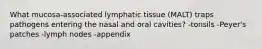 What mucosa-associated lymphatic tissue (MALT) traps pathogens entering the nasal and oral cavities? -tonsils -Peyer's patches -lymph nodes -appendix