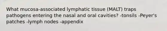 What mucosa-associated lymphatic tissue (MALT) traps pathogens entering the nasal and oral cavities? -tonsils -Peyer's patches -lymph nodes -appendix