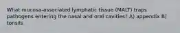 What mucosa-associated lymphatic tissue (MALT) traps pathogens entering the nasal and oral cavities? A) appendix B) tonsils