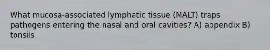 What mucosa-associated lymphatic tissue (MALT) traps pathogens entering the nasal and oral cavities? A) appendix B) tonsils