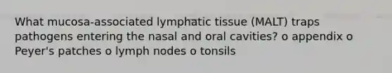 What mucosa-associated lymphatic tissue (MALT) traps pathogens entering the nasal and oral cavities? o appendix o Peyer's patches o lymph nodes o tonsils