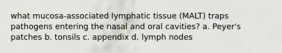 what mucosa-associated lymphatic tissue (MALT) traps pathogens entering the nasal and oral cavities? a. Peyer's patches b. tonsils c. appendix d. lymph nodes