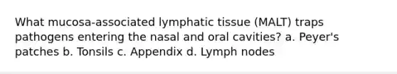 What mucosa-associated lymphatic tissue (MALT) traps pathogens entering the nasal and oral cavities? a. Peyer's patches b. Tonsils c. Appendix d. Lymph nodes