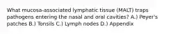 What mucosa-associated lymphatic tissue (MALT) traps pathogens entering the nasal and oral cavities? A.) Peyer's patches B.) Tonsils C.) Lymph nodes D.) Appendix