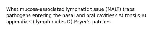 What mucosa-associated lymphatic tissue (MALT) traps pathogens entering the nasal and oral cavities? A) tonsils B) appendix C) lymph nodes D) Peyer's patches