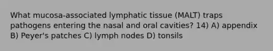 What mucosa-associated lymphatic tissue (MALT) traps pathogens entering the nasal and oral cavities? 14) A) appendix B) Peyer's patches C) lymph nodes D) tonsils