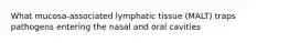 What mucosa-associated lymphatic tissue (MALT) traps pathogens entering the nasal and oral cavities