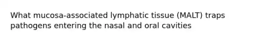 What mucosa-associated lymphatic tissue (MALT) traps pathogens entering the nasal and oral cavities