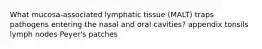 What mucosa-associated lymphatic tissue (MALT) traps pathogens entering the nasal and oral cavities? appendix tonsils lymph nodes Peyer's patches