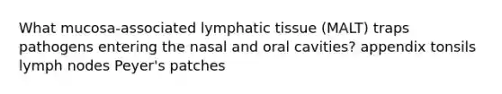 What mucosa-associated lymphatic tissue (MALT) traps pathogens entering the nasal and oral cavities? appendix tonsils lymph nodes Peyer's patches