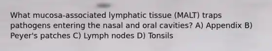 What mucosa-associated lymphatic tissue (MALT) traps pathogens entering the nasal and oral cavities? A) Appendix B) Peyer's patches C) Lymph nodes D) Tonsils