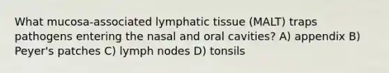 What mucosa-associated lymphatic tissue (MALT) traps pathogens entering the nasal and oral cavities? A) appendix B) Peyer's patches C) lymph nodes D) tonsils