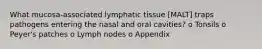 What mucosa-associated lymphatic tissue [MALT] traps pathogens entering the nasal and oral cavities? o Tonsils o Peyer's patches o Lymph nodes o Appendix