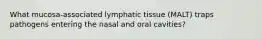 What mucosa-associated lymphatic tissue (MALT) traps pathogens entering the nasal and oral cavities?