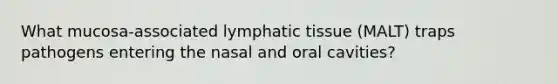 What mucosa-associated lymphatic tissue (MALT) traps pathogens entering the nasal and oral cavities?