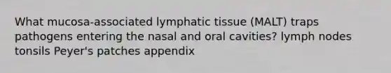 What mucosa-associated lymphatic tissue (MALT) traps pathogens entering the nasal and oral cavities? lymph nodes tonsils Peyer's patches appendix