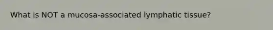 What is NOT a mucosa-associated lymphatic tissue?