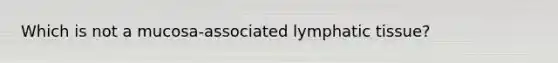 Which is not a mucosa-associated lymphatic tissue?