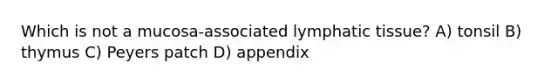 Which is not a mucosa-associated lymphatic tissue? A) tonsil B) thymus C) Peyers patch D) appendix