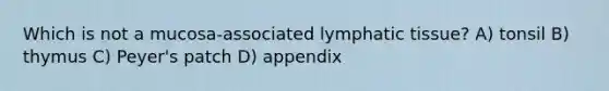 Which is not a mucosa-associated lymphatic tissue? A) tonsil B) thymus C) Peyer's patch D) appendix