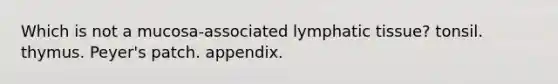 Which is not a mucosa-associated lymphatic tissue? tonsil. thymus. Peyer's patch. appendix.