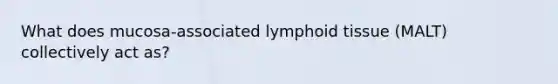 What does mucosa-associated lymphoid tissue (MALT) collectively act as?