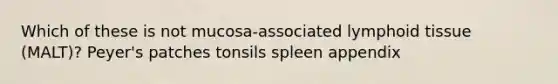 Which of these is not mucosa-associated lymphoid tissue (MALT)? Peyer's patches tonsils spleen appendix