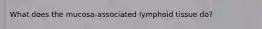 What does the mucosa-associated lymphoid tissue do?