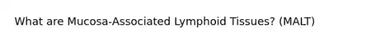 What are Mucosa-Associated Lymphoid Tissues? (MALT)