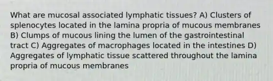 What are mucosal associated lymphatic tissues? A) Clusters of splenocytes located in the lamina propria of mucous membranes B) Clumps of mucous lining the lumen of the gastrointestinal tract C) Aggregates of macrophages located in the intestines D) Aggregates of lymphatic tissue scattered throughout the lamina propria of mucous membranes