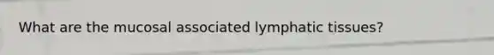 What are the mucosal associated lymphatic tissues?